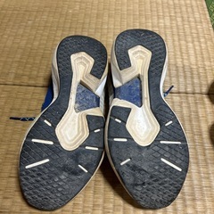 二足セット　リーボックジュース　ランニング用　スリッポンスエード素材　25センチの画像