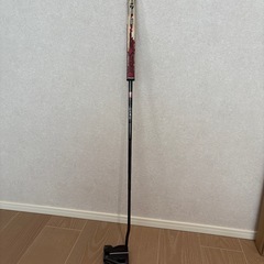 オデッセイパターの画像