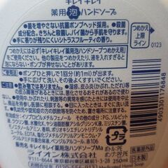 ｷﾚｲｷﾚｲ泡ﾊﾝﾄﾞｿｰﾌﾟ250ml×1本=100円の画像