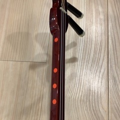 三線（ケース付き）の画像