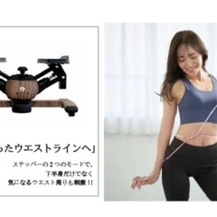 【ツイストステッパー正規品】Re ツイストエアロステッパー Premium プレミアム SP-600 木目調の画像