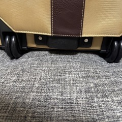マファルダデラスカーラ　キャリーバックの画像