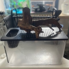 アクアリウムの画像