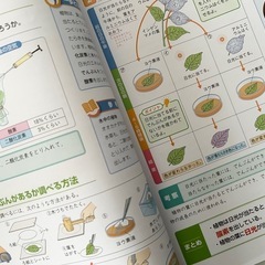 全カラー　コア　理科　小学生　6年　塾テキストの画像