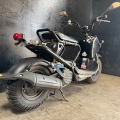 ★支払い総額7.2万円★関東圏内即日配送可能！ホンダ ズーマー50 AF58 オシャレ原付入荷しました♪クリアウィンカーレンズ！カスタムベースに♪の画像