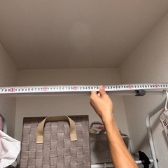 ランドリーラック　洗濯機ラック　ニトリ購入の画像