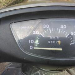 ホンダライブディオaf34の画像