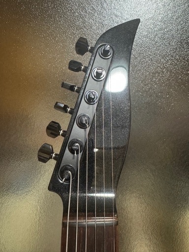 TOKAI タルボ　三鷹楽器購入品　ピックアップカスタム TALBO'23Limited