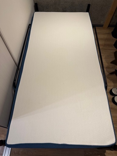 コアラマットレス【8/28午前まで】