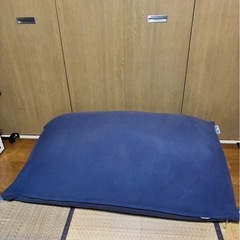 yogi bo ミディの画像