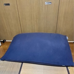 yogi bo ミディの画像