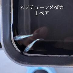 メダカの画像