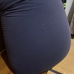 yogi bo ミディの画像