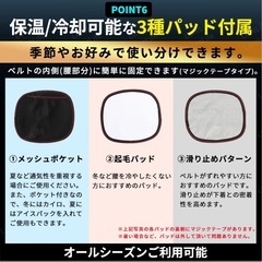 腰サポーター ほぼ新品 の画像