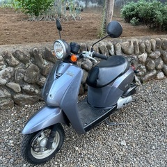 af61 トゥデイ　調子良し　の画像