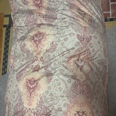 毛布2枚(カバーなし)の画像