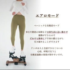 ツイストエアロステッパーPremium　の画像