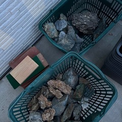 メダカ飼育セット　容器大量　レイアウト流木　石等　　の画像