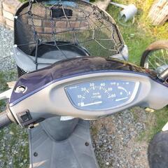 HONDA ディオチェスタの画像