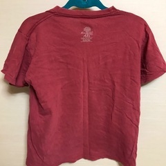 tシャツ  アシカの画像