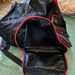 未使用近いペットキャリーバッグの画像