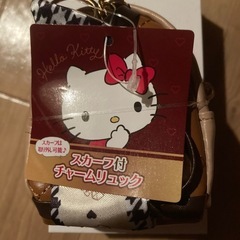 キティーちゃんスカーフ付きコインケースの画像