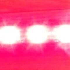 リーベックス(Revex) LED センサー ライト 電池式 防雨型人感センサー 防犯 赤いLED アラーム音 スーパーパトロング SLB300の画像