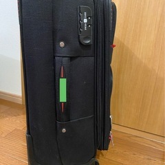 キャリーバック　メーカー品では有りませんの画像