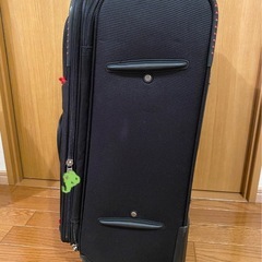 キャリーバック　メーカー品では有りませんの画像