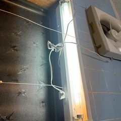キッチンライトの画像