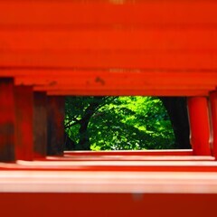 写真教室　フォトライフ　生徒募集　定員3名の画像