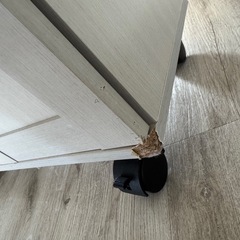 ニトリ　キャビネットセット
の画像