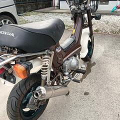ホンダ　シャリー　CF50の画像