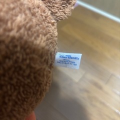 TOKYOディズニーランドでの画像