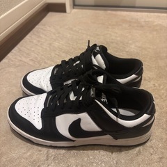 NIKEダンクローの画像