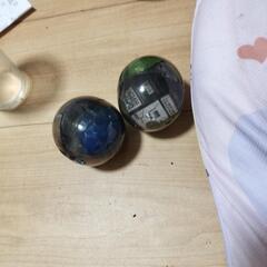 パンカブトとカブトハナムグリイエローの画像