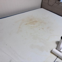 コアラマットレスダブルサイズの画像