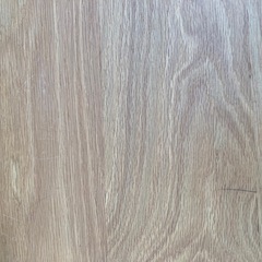 Arbre Center table 1000 センターテーブルの画像