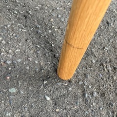 Arbre Center table 1000 センターテーブルの画像