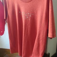 Tｼｬﾂ、ﾍﾞｽﾄ、半袖ｾｰﾀｰまとめの画像