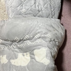 昨年購入、綺麗ですの画像