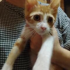 好奇心旺盛うおべぇくん(仮名)