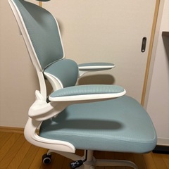 Razzorオフィスチェアの画像