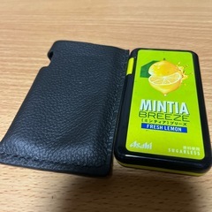 ミンティアブリーズ牛革ケースの画像