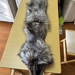美品❣️本物フォックスのストールの画像