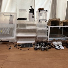 爬虫類用ケージの画像