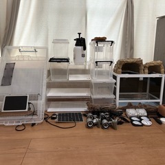 爬虫類用ケージの画像