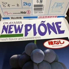 ピオーネの画像