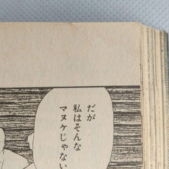 篠原烏童　『純白の血④』ハロウィン少女コミック館　平成2年発行　朝日ソノラマの画像