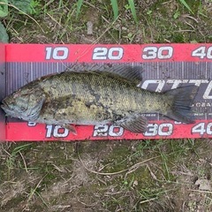 バス釣り友達募集